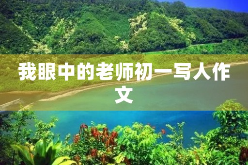 我眼中的老师初一写人作文