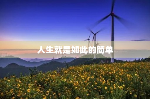 人生就是如此的简单