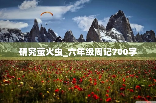 研究萤火虫_六年级周记700字