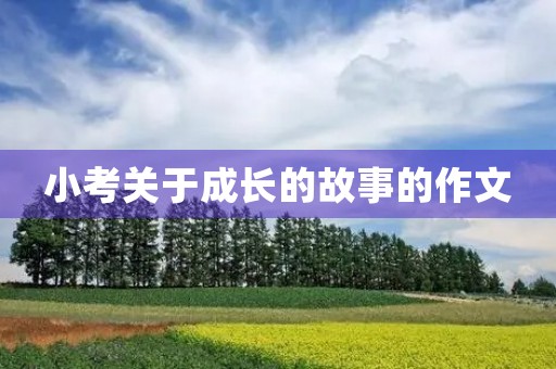 小考关于成长的故事的作文