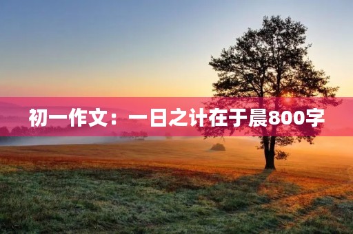 初一作文:一日之计在于晨800字 初一作文:一日之计在于晨800字