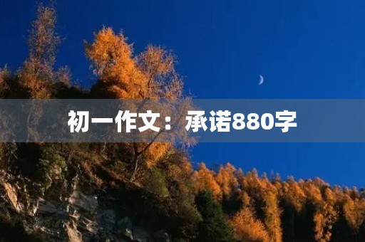 初一作文:承诺880字 初一作文:承诺880字