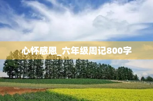心怀感恩_六年级周记800字