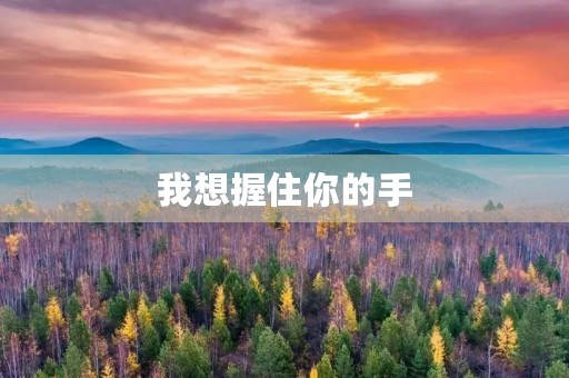 我想握住你的手 我想握住你的手