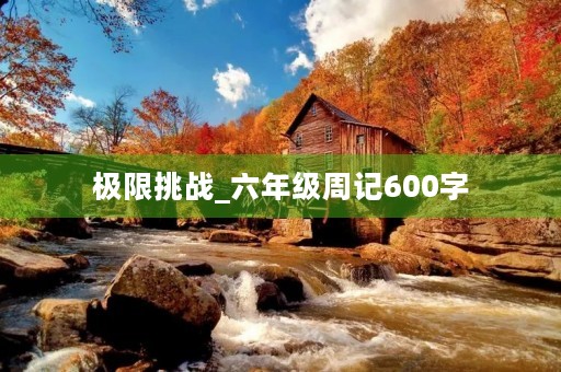极限挑战_六年级周记600字