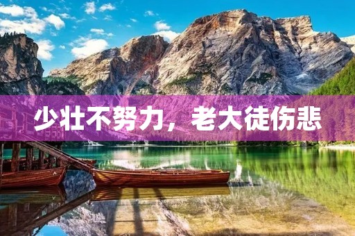 少壮不努力，老大徒伤悲