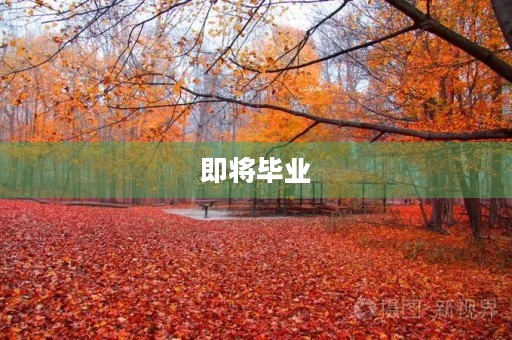 即将毕业