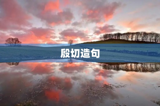 殷切造句 殷切造句