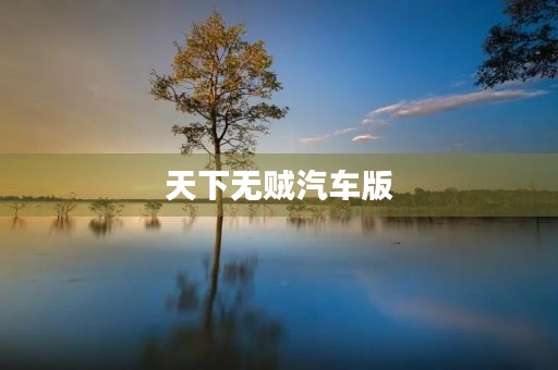 天下无贼汽车版