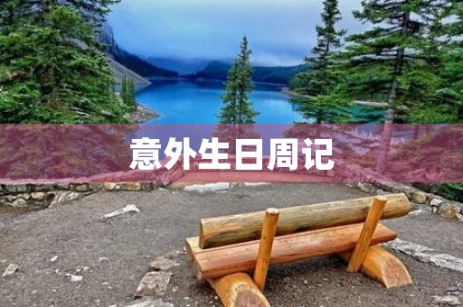 意外生日周记