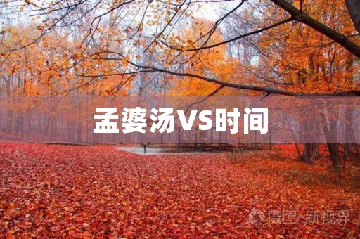 孟婆汤VS时间 孟婆汤VS时间