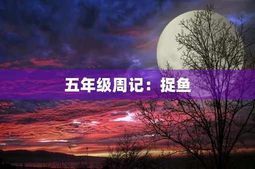 五年级周记:捉鱼 五年级周记:捉鱼