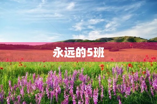 永远的5班 永远的5班
