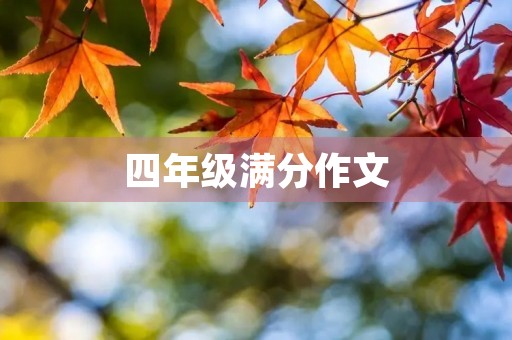 四年级满分作文 四年级满分作文