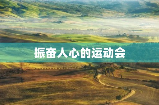 振奋人心的运动会