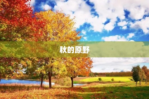 秋的原野 秋的原野