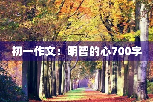 初一作文：明智的心700字
