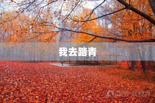我去踏青