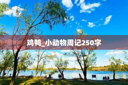 鸡鸭_小动物周记250字 鸡鸭_小动物周记250字