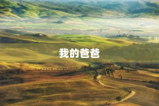 我的爸爸 我的爸爸