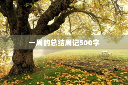 一周的总结周记500字