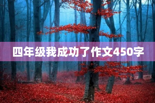 四年级我成功了作文450字