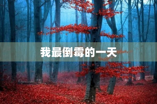 我最倒霉的一天