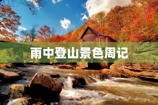 雨中登山景色周记