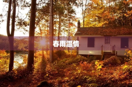 春雨温情