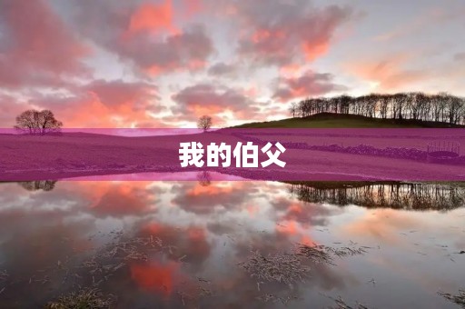 我的伯父