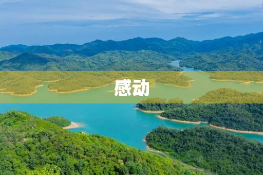 感动 感动