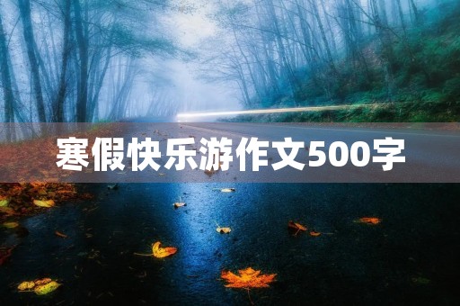 寒假快乐游作文500字
