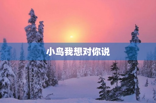 小鸟我想对你说