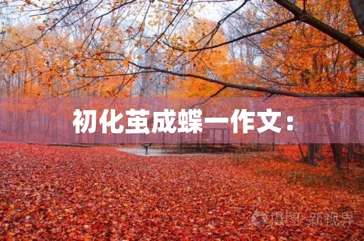 初化茧成蝶一作文：