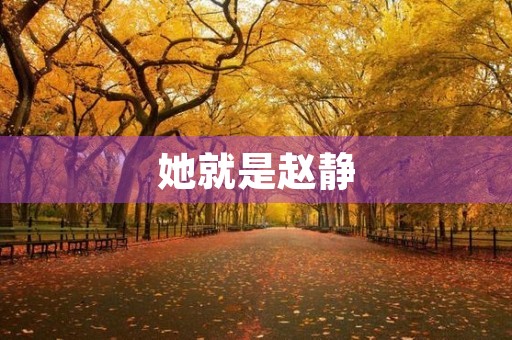 她就是赵静