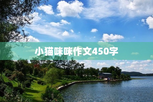 小猫**作文450字