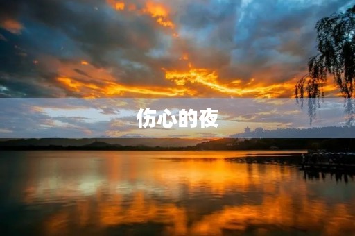 伤心的夜