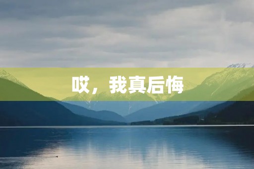哎，我真后悔