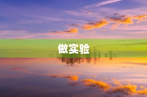 做实验