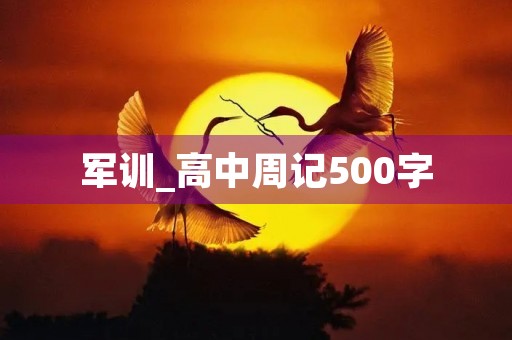 军训_高中周记500字