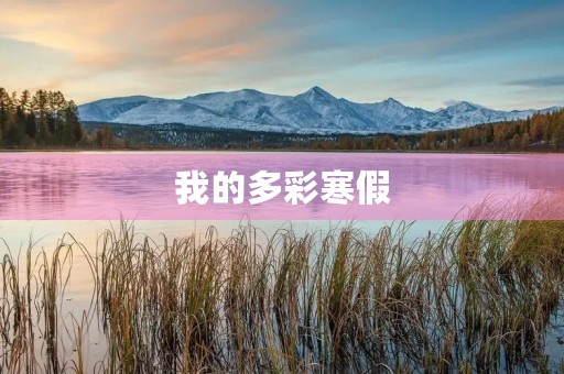 我的多彩寒假