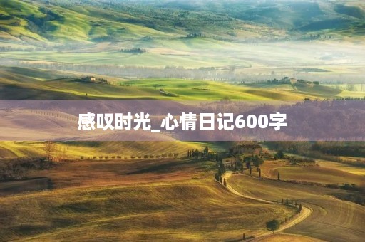 感叹时光_心情日记600字