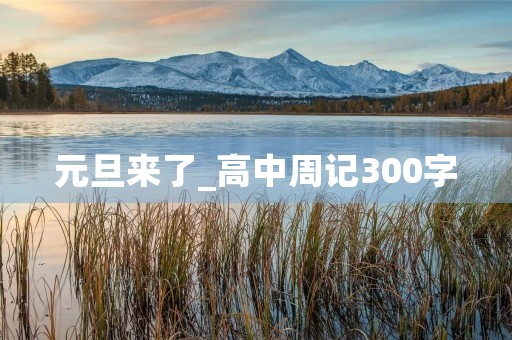 元旦来了_高中周记300字 元旦来了_高中周记300字