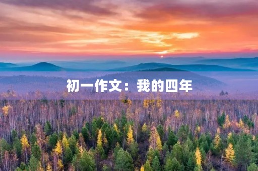 初一作文：我的四年
