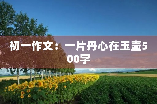 初一作文：一片丹心在玉壶500字