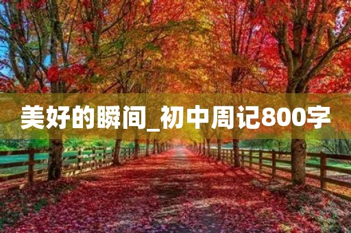美好的瞬间_初中周记800字 美好的瞬间_初中周记800字