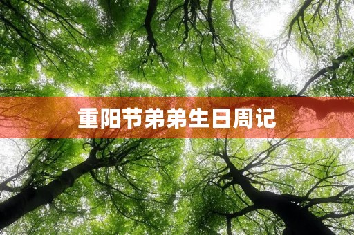 重阳节弟弟生日周记 重阳节弟弟生日周记