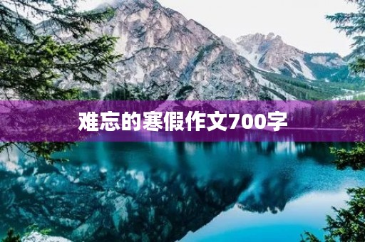 难忘的寒假作文700字 难忘的寒假作文700字