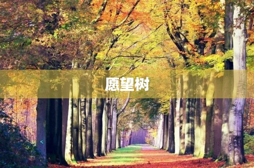 愿望树