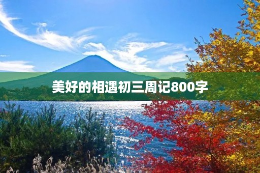 美好的相遇初三周记800字
